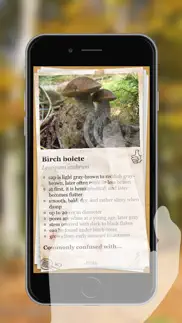 the mushroom book pro iphone screenshot 2