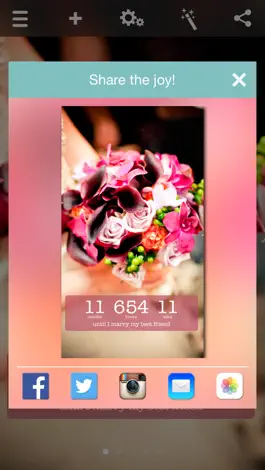 Game screenshot Wedding Countdown hack