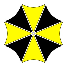 Umbrella taxi (Zhytomyr)