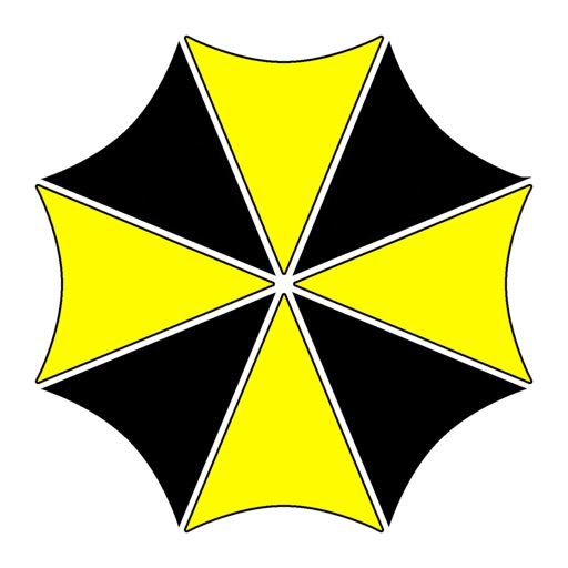 Umbrella taxi (Zhytomyr)