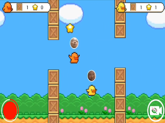 Screenshot #6 pour Camera Flying Bird