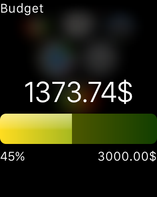 Budget App screenshot 13