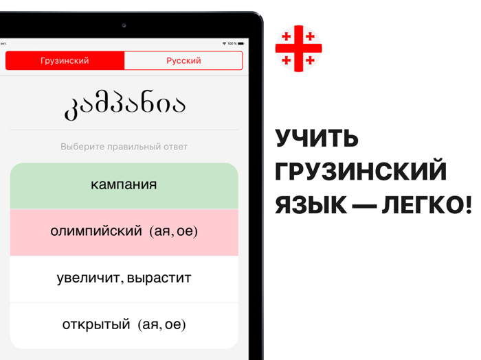 Грузинский язык⁣
