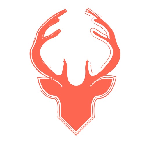 The Colors of Christmas