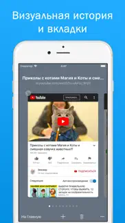 Быстрый Поиск и Браузер айфон картинки 4