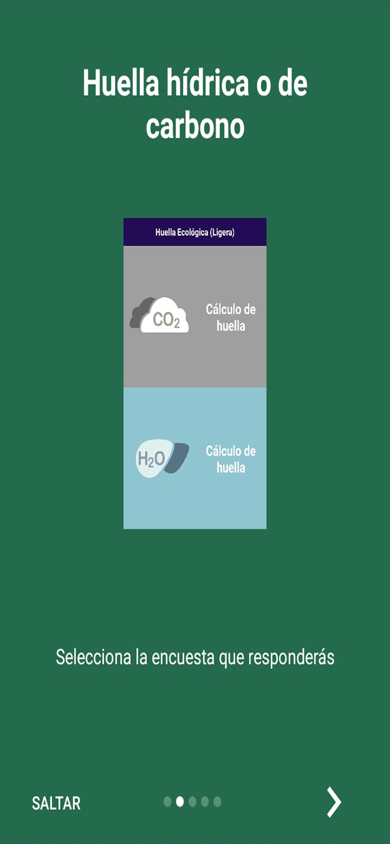 Huella ecológica individual screenshot 3