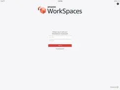 Amazon WorkSpaces iPad image 1