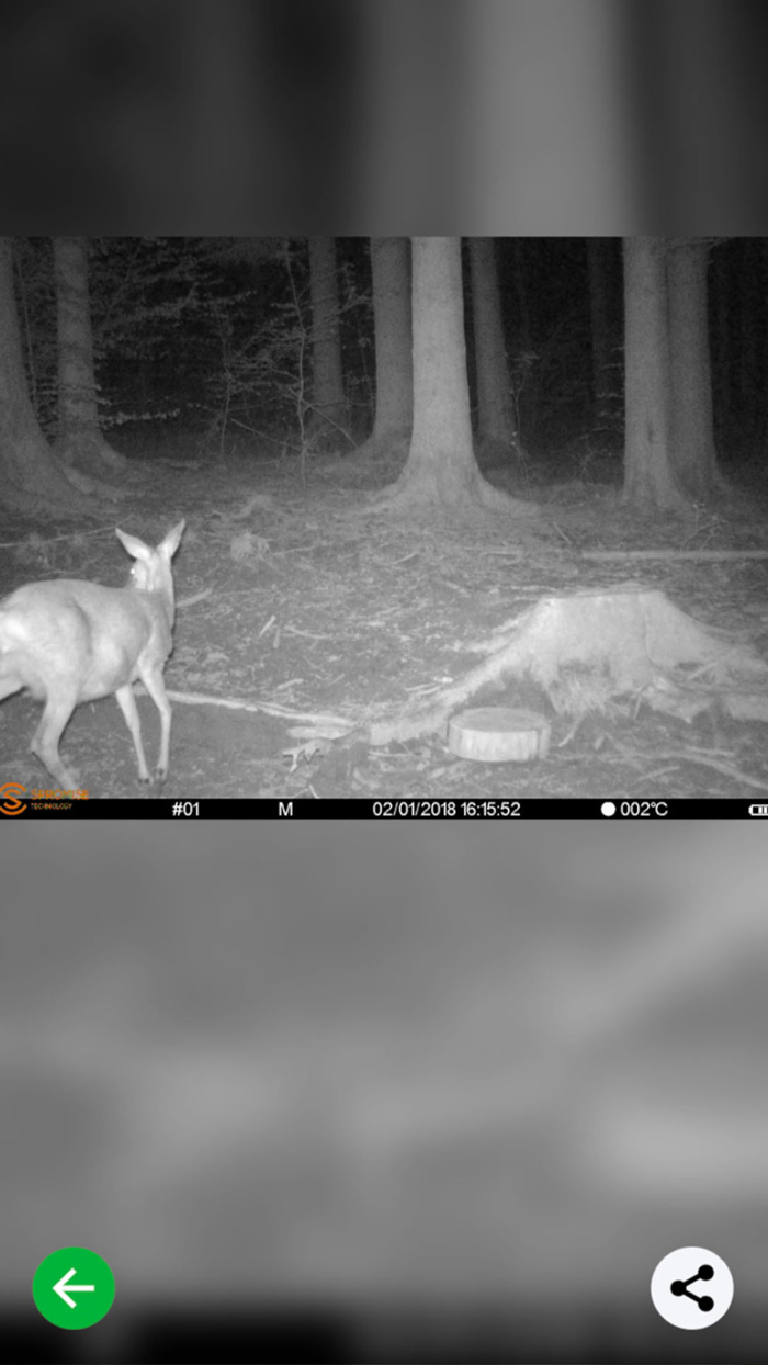 Jachtcombinatie Olzheim 1