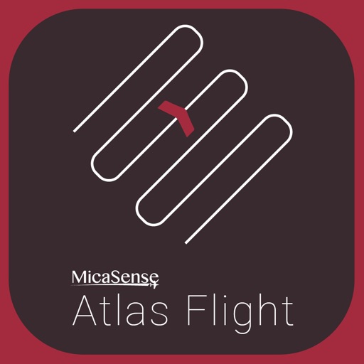 Atlas Flight Icon