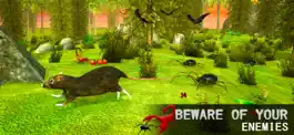 Game screenshot Крыса Семейный Дом Симулятор apk