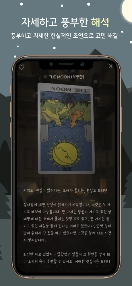 The 타로카드  (애정운, 취업운, 운세)