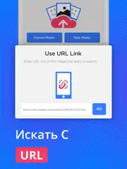 reverse image search & lookup айпад изображения 3