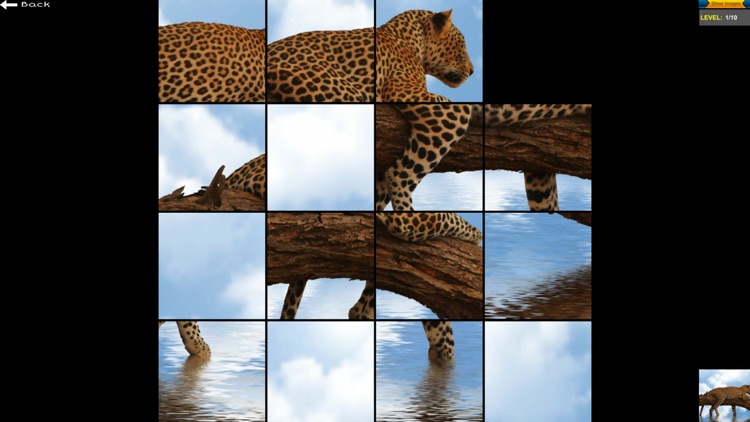 Slide Puzzle Title screenshot-4