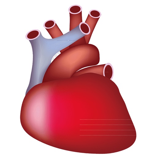 Circulatory System Study Cards icon