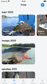 Прогноза клева и погоды айфон картинки 4