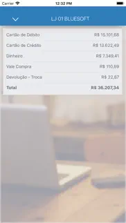 bluesoft sales analytics iphone screenshot 4