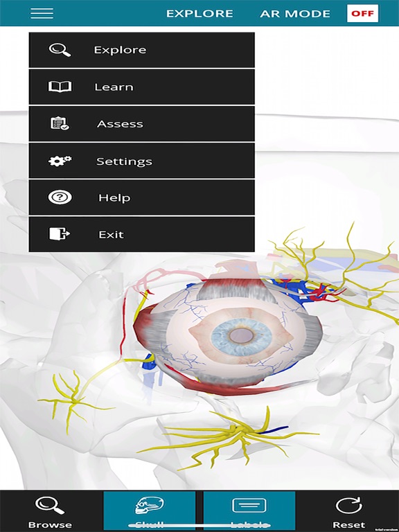 Screenshot #6 pour OculAR SIM