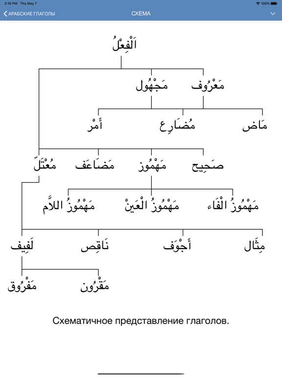 Арабские глаголы iPad screenshot