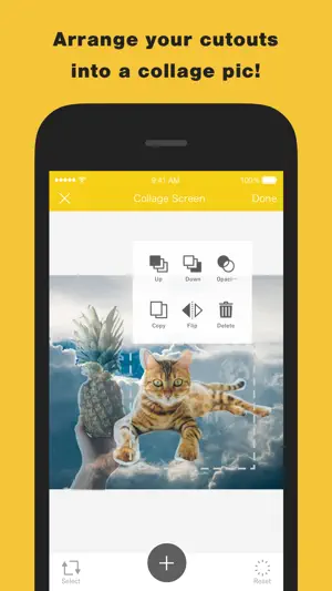 ZATSU - Meme and Image Creator screenshot 3