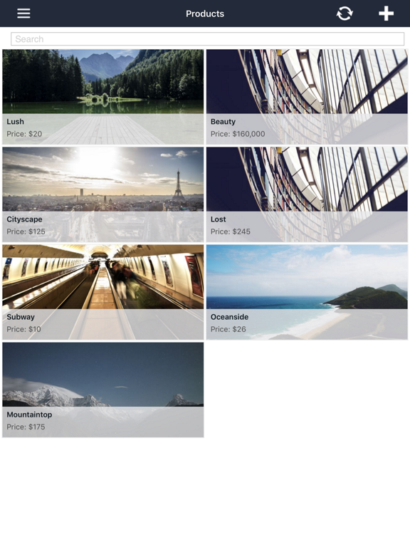 Screenshot #5 pour Telerik CRM