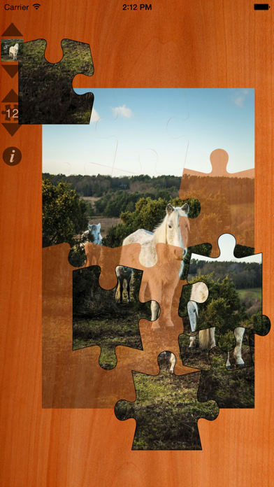 Jigsaws Gold screenshot 1