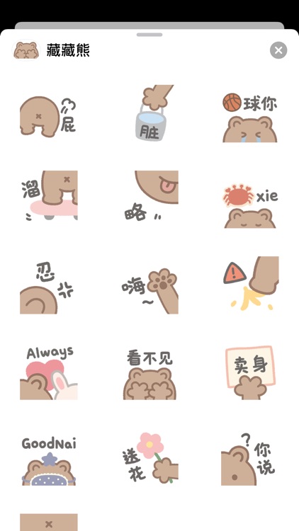 藏藏熊 screenshot-5