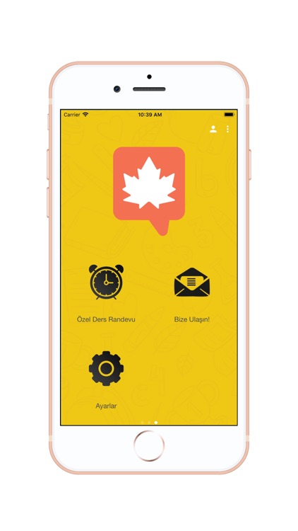 Language Master screenshot-3