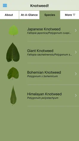 Game screenshot Knotweed! apk