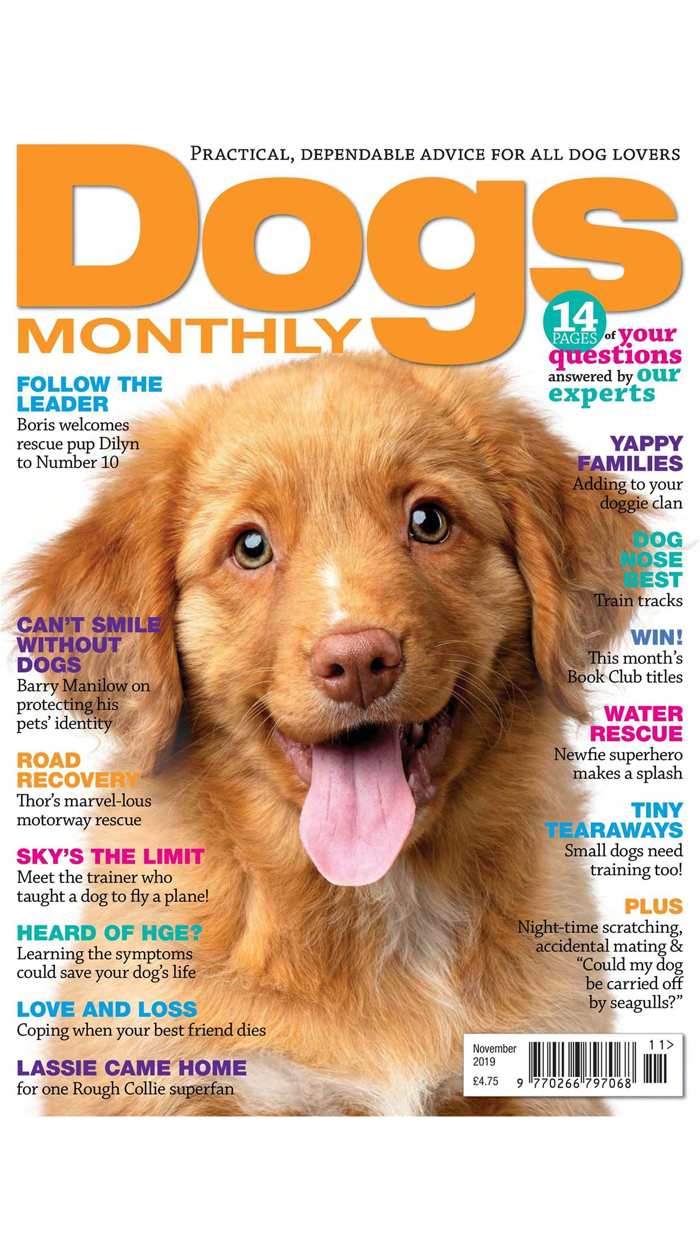 Dogs Monthly Magazine