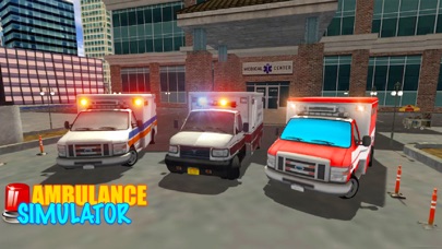 Ambulance Driver Simulator 3d screenshot 3