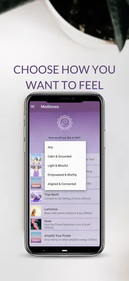Game screenshot Meditones apk