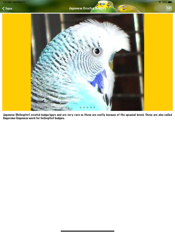 Budgie Book iPad screenshot 4 - Reference app