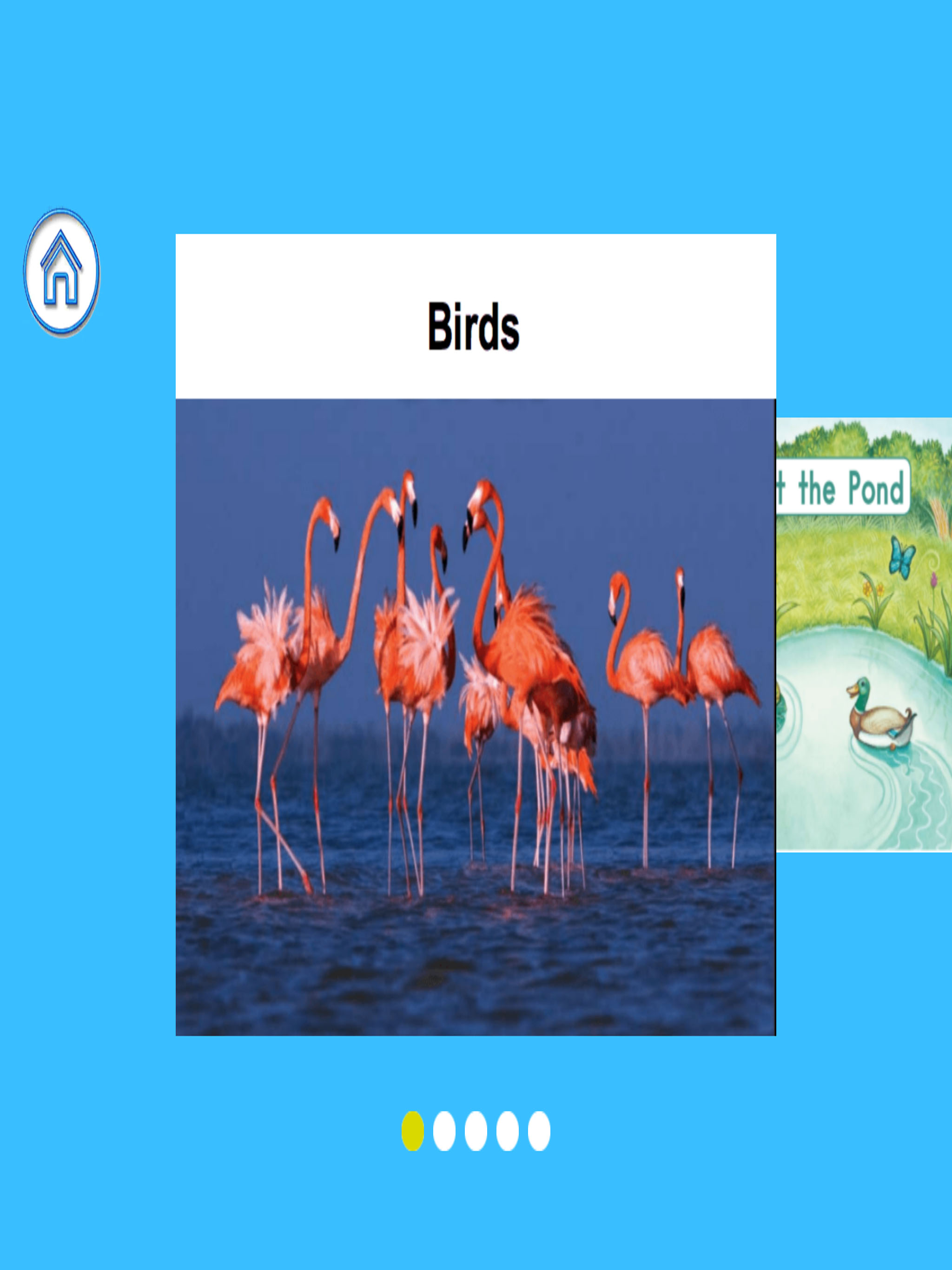 Picture Book Box 2(Book61-100)
