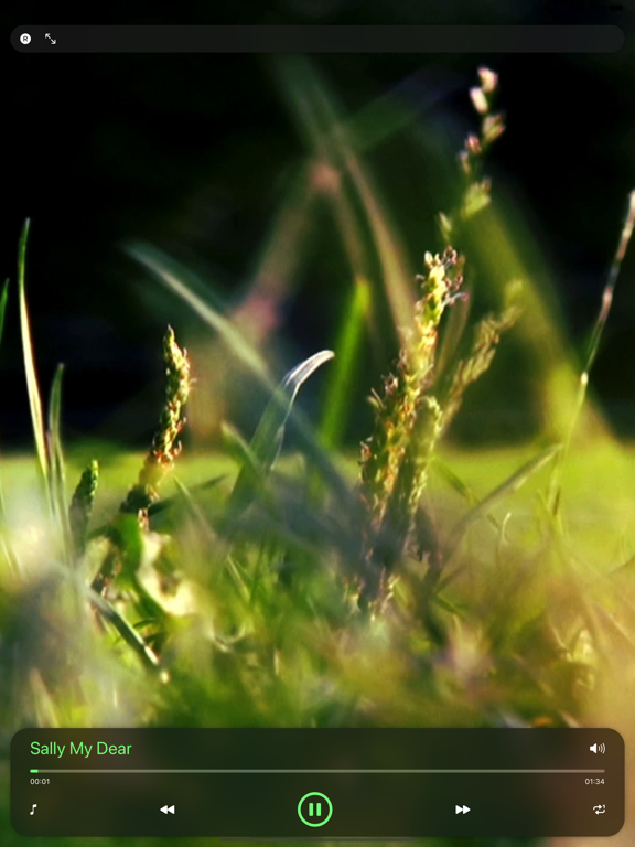 Screenshot #5 pour Musique Saint Patrick