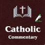 Catholic Bible Commentary app download