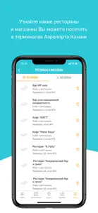 Аэропорт Казань screenshot #5 for iPhone