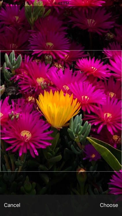 HoloPhotos screenshot-5