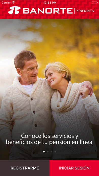 PENSIONES BANORTE SA DE CV ... Screenshot