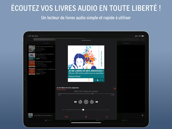 Screenshot #5 pour LivreAud.io