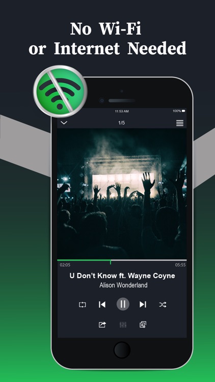 Offline Music Player