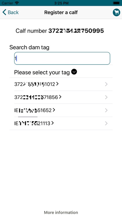 Calf-Reg screenshot-6