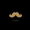 eCut icon