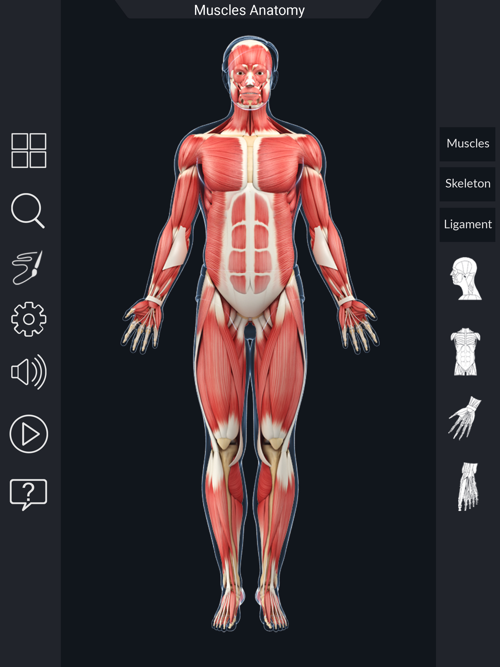 My Muscle Anatomy screenshot 10