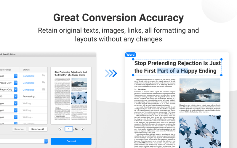 PDF to Word Pro for Adobe PDFs thumbnail 2
