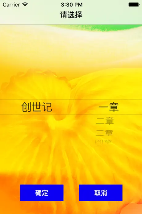 圣经‧普通话聆听版