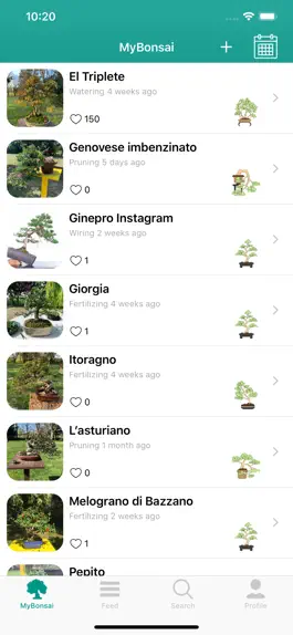Game screenshot BonsaiDo apk