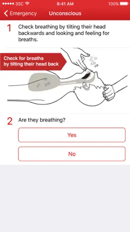 Game screenshot First Aid-Australian Red Cross hack