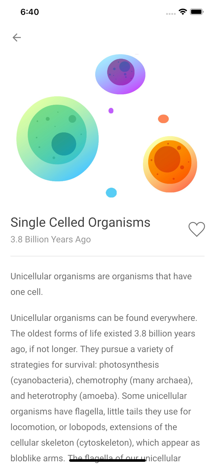 The History of Everything