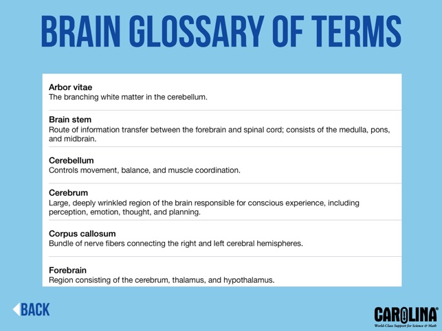 Mammalian Organ Dissection(圖5)-速報App