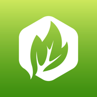 Kaset Guru  ตลาดสินค้าการเกษตร